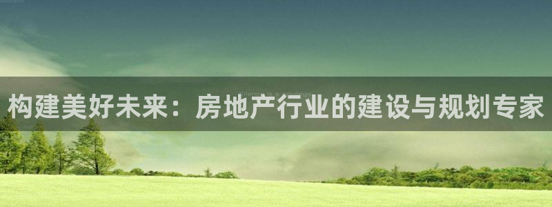 先锋综合娱乐：构建美好未来：房地产行业的建设与规划专家