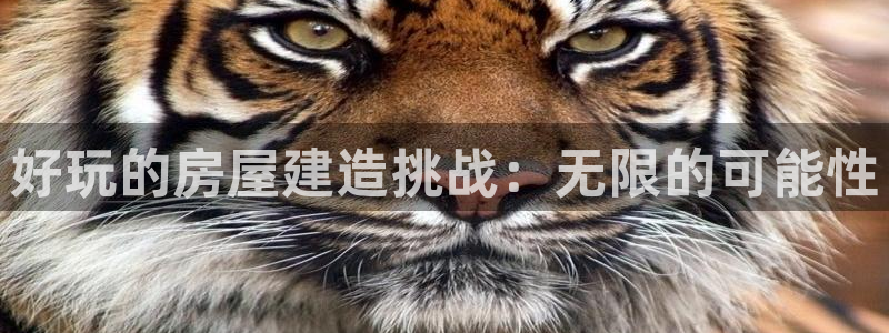 先锋娱乐大厅平台：好玩的房屋建造挑战：无限的可能性