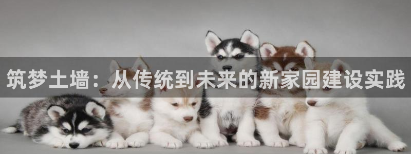 威斯汀娱乐先锋：筑梦土墙：从传统到未来的新家园建设实践