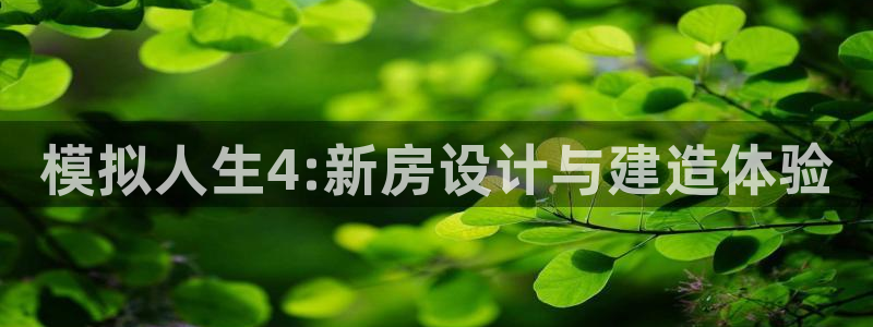 先锋娱乐理财logo：模拟人生4:新房设计与建造体验