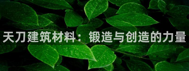 先锋娱乐注册：天刀建筑材料：锻造与创造的力量
