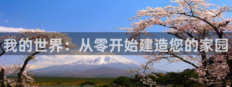 怎么下载先锋娱乐大厅：我的世界：从零开始建造您的家园