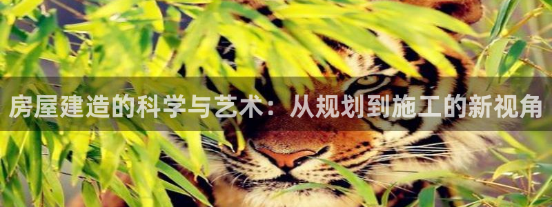 先锋娱乐游戏上分视频：房屋建造的科学与艺术：从规划到施工的新视角