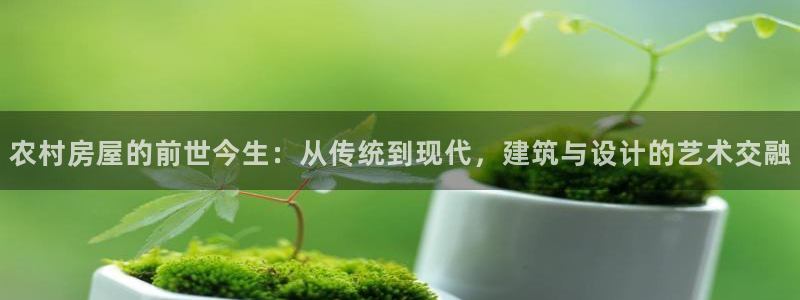先锋娱乐科技：农村房屋的前世今生：从传统到现代，建筑与设计的艺术交融