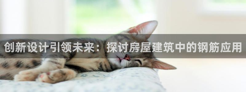 娱乐急先锋李诞甄子丹：创新设计引领未来：探讨房屋建筑中的钢筋应用