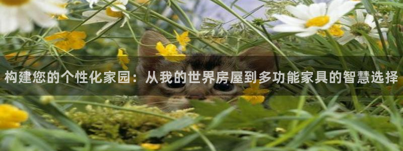 先锋澳门新娱乐：构建您的个性化家园：从我的世界房屋到多功能家具的智慧选择
