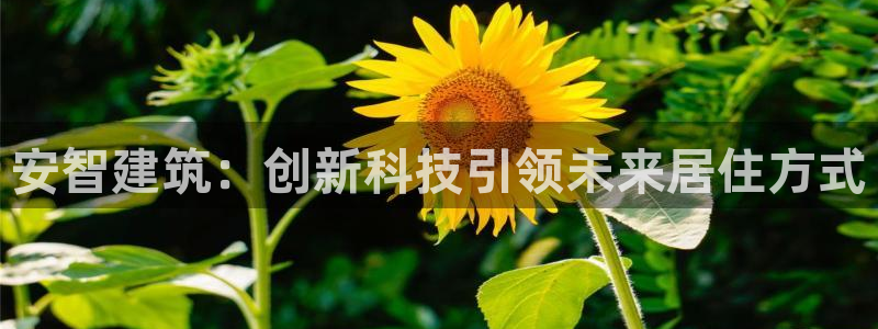 先锋方舟娱乐集团：安智建筑：创新科技引领未来居住方式