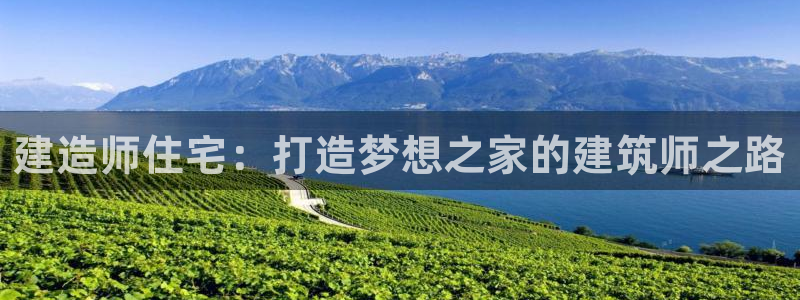 先锋方舟娱乐集团：建造师住宅：打造梦想之家的建筑师之路