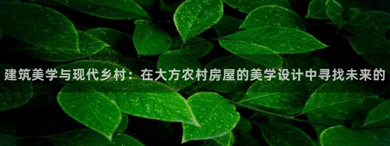 先锋娱乐资讯官网入口：建筑美学与现代乡村：在大方农村房屋的美学设计中寻找未来的