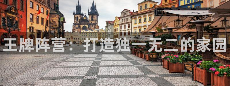 先锋娱乐体育：王牌阵营：打造独一无二的家园