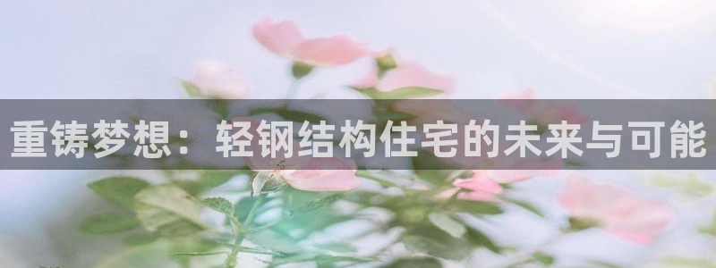 先锋娱乐侠：重铸梦想：轻钢结构住宅的未来与可能