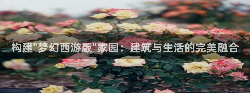 先锋娱乐提现多久到账：构建\