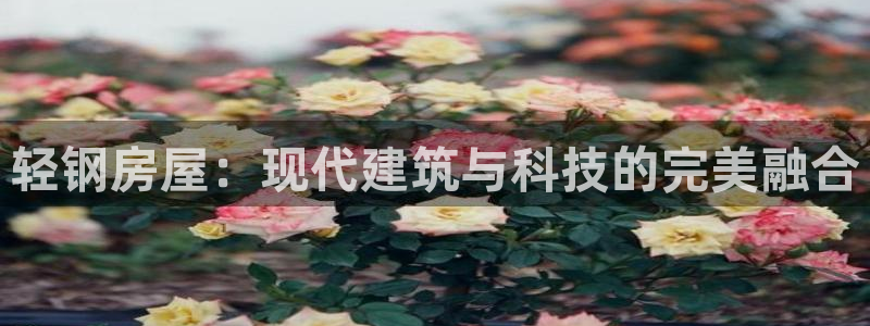 贵州先锋娱乐