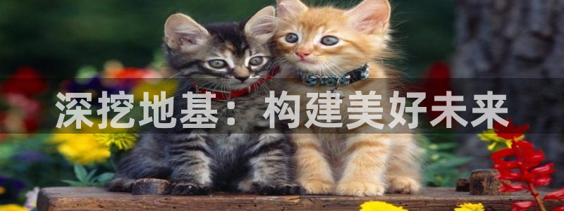贵州先锋娱乐