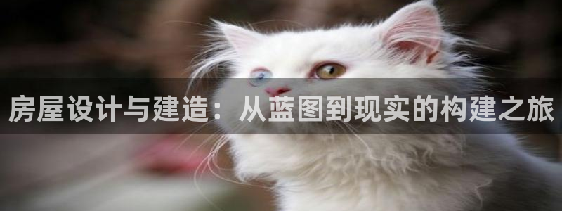 先锋娱乐平台：房屋设计与建造：从蓝图到现实的构建之旅