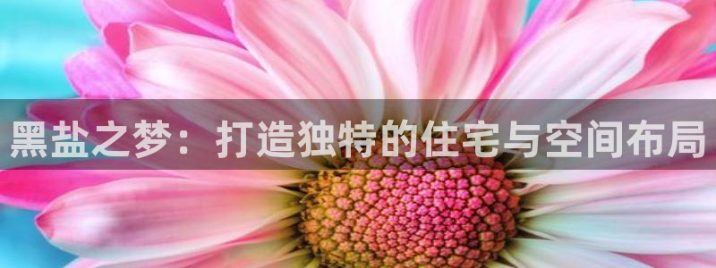 先锋娱乐麻将：黑盐之梦：打造独特的住宅与空间布局