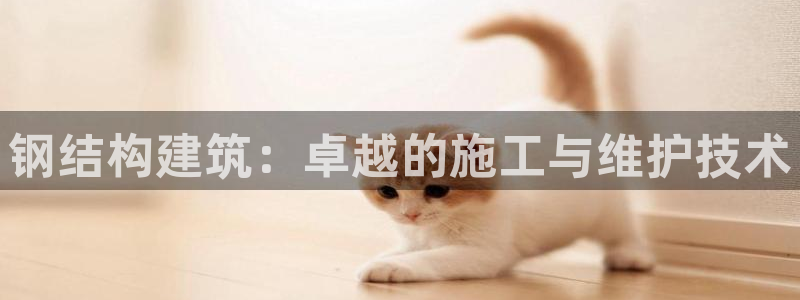 大连先锋娱乐：钢结构建筑：卓越的施工与维护技术