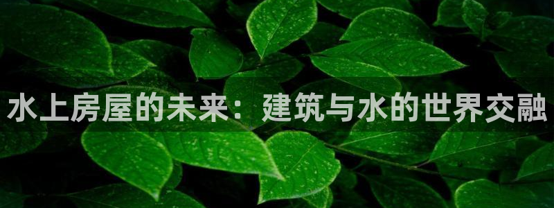 先锋娱乐提现多久到账：水上房屋的未来：建筑与水的世界交融