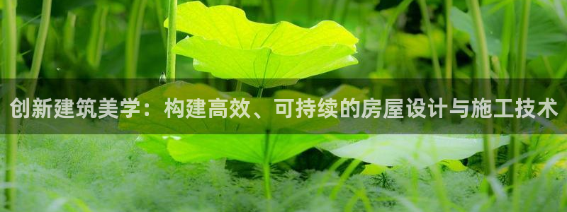 先锋娱乐：创新建筑美学：构建高效、可持续的房屋设计与施工技术