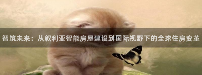 先锋娱乐大厅透视：智筑未来：从叙利亚智能房屋建设到国际视野下的全球住房变革