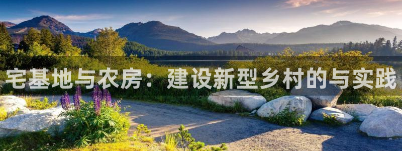 先锋娱乐股票
