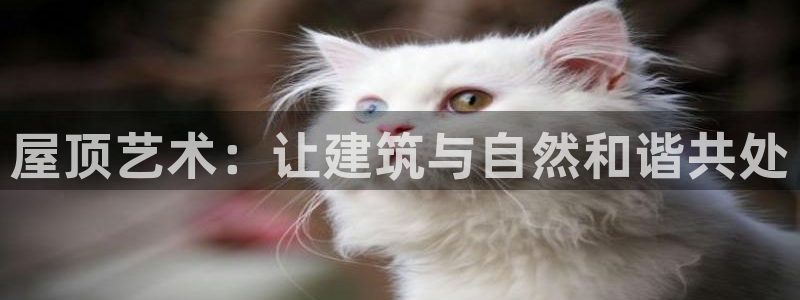 先锋娱乐大厅平台：屋顶艺术：让建筑与自然和谐共处