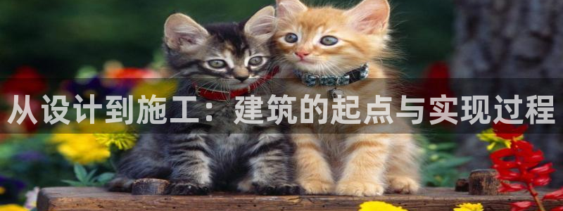 大连先锋娱乐