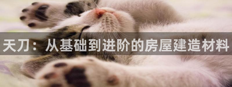 先锋娱乐理财logo：天刀：从基础到进阶的房屋建造材料