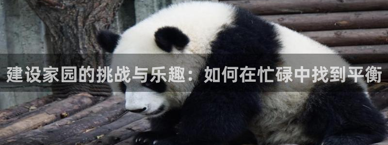 先锋游戏娱乐：建设家园的挑战与乐趣：如何在忙碌中找到平衡