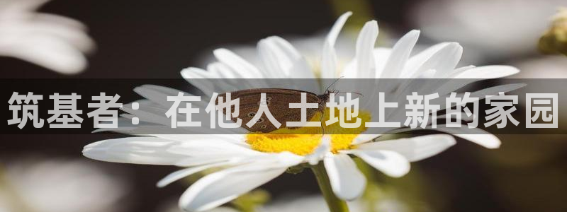 先锋娱乐手机：筑基者：在他人土地上新的家园