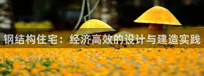 先锋娱乐邀请码多少：钢结构住宅：经济高效的设计与建造实践