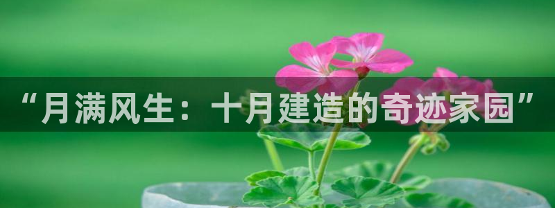 先锋娱乐客服中心：“月满风生：十月建造的奇迹家园”