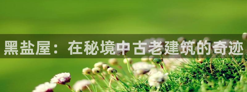 先锋娱乐大厅平台：黑盐屋：在秘境中古老建筑的奇迹