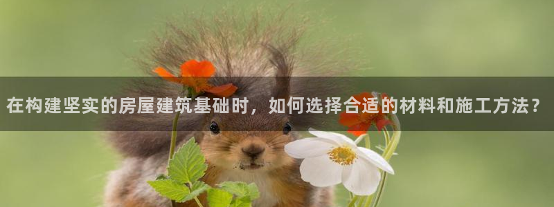 先锋娱乐简介图片