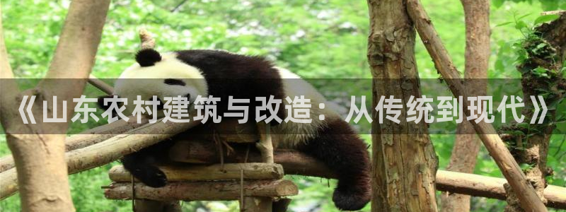 娱乐急先锋李诞甄子丹：《山东农村建筑与改造：从传统到现代》