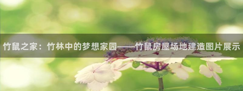 先锋娱乐属于违法吗：竹鼠之家：竹林中的梦想家园——竹鼠房屋场地建造图片展示