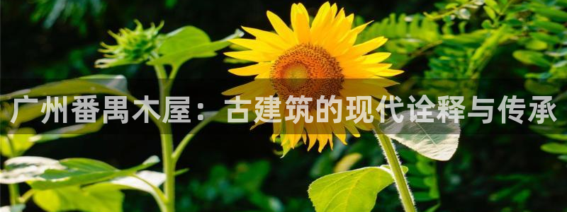 先锋娱乐公司正规吗吗：广州番禺木屋：古建筑的现代诠释与传承