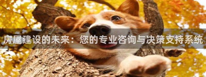 先锋综合娱乐：房屋建设的未来：您的专业咨询与决策支持系统