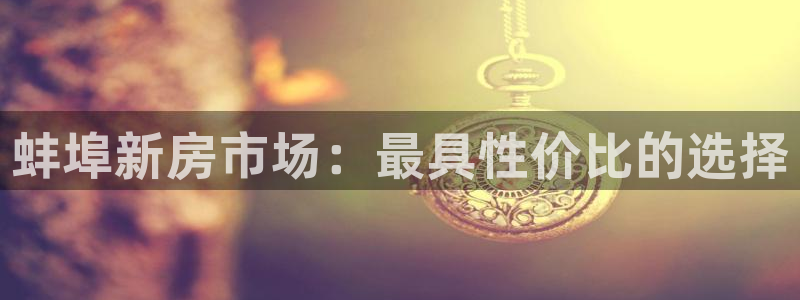 网上炸金花先锋娱乐：蚌埠新房市场：最具性价比的选择