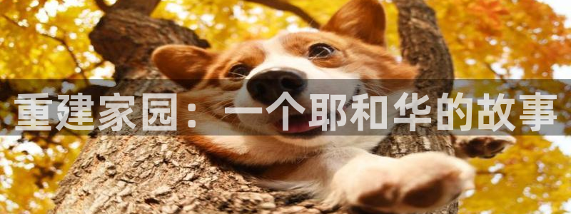 先锋娱乐官：重建家园：一个耶和华的故事