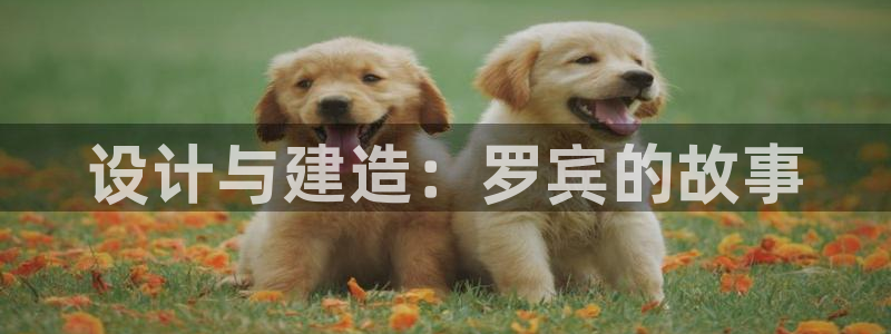 先锋娱乐体育管理集团：设计与建造：罗宾的故事