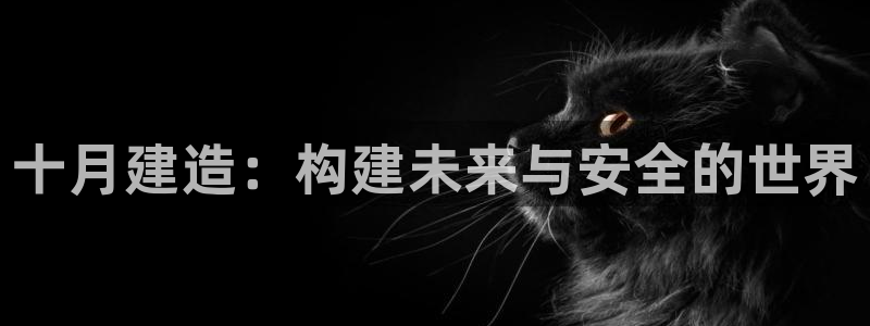 先锋娱乐官网：十月建造：构建未来与安全的世界