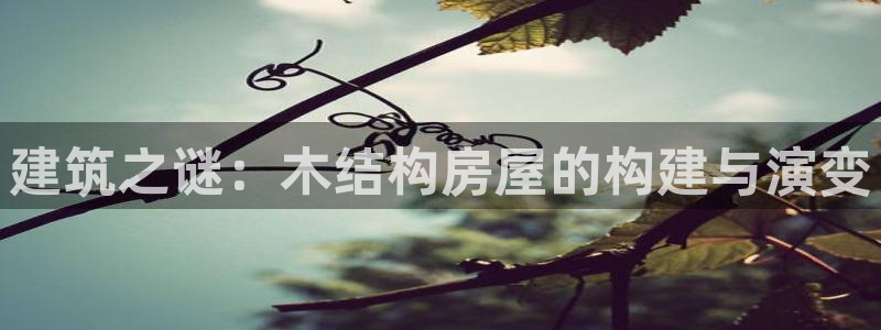 先锋娱乐官网：建筑之谜：木结构房屋的构建与演变