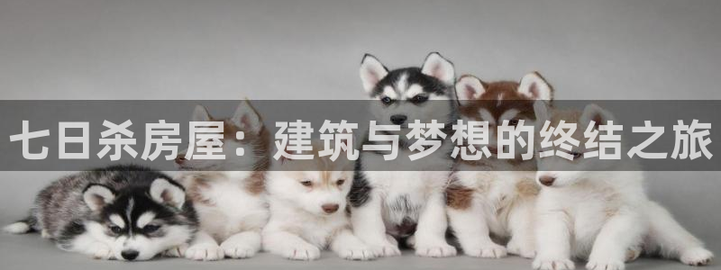 先锋娱乐赛：七日杀房屋：建筑与梦想的终结之旅