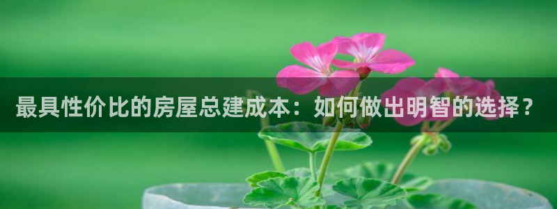 先锋娱乐大厅斗牛：最具性价比的房屋总建成本：如何做出明智的选择？