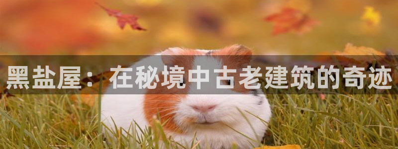 先锋娱乐转进去钱：黑盐屋：在秘境中古老建筑的奇迹