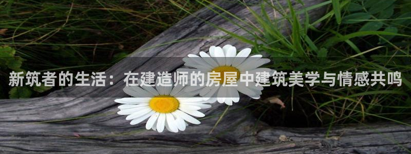 先锋娱乐大厅牛牛：新筑者的生活：在建造师的房屋中建筑美学与情感共鸣
