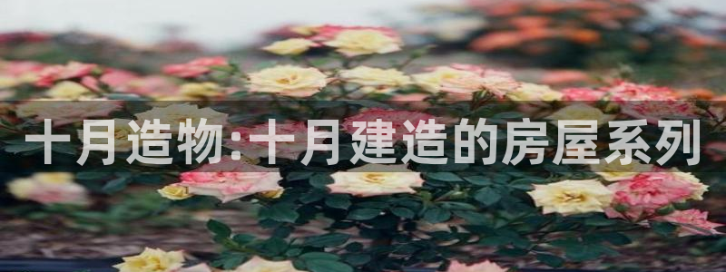 先锋娱乐体育管理集团：十月造物:十月建造的房屋系列