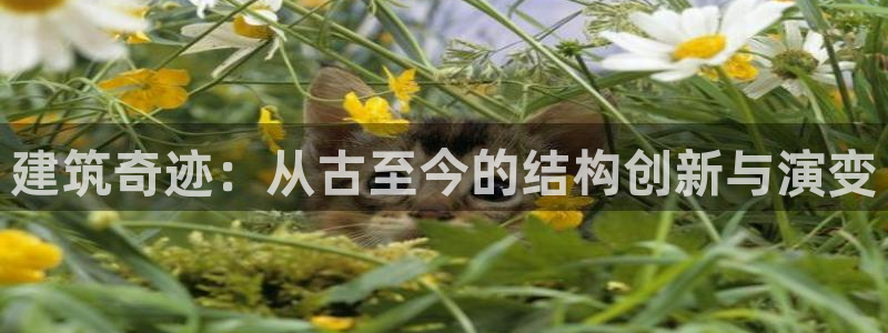 先锋娱乐网67xf：建筑奇迹：从古至今的结构创新与演变